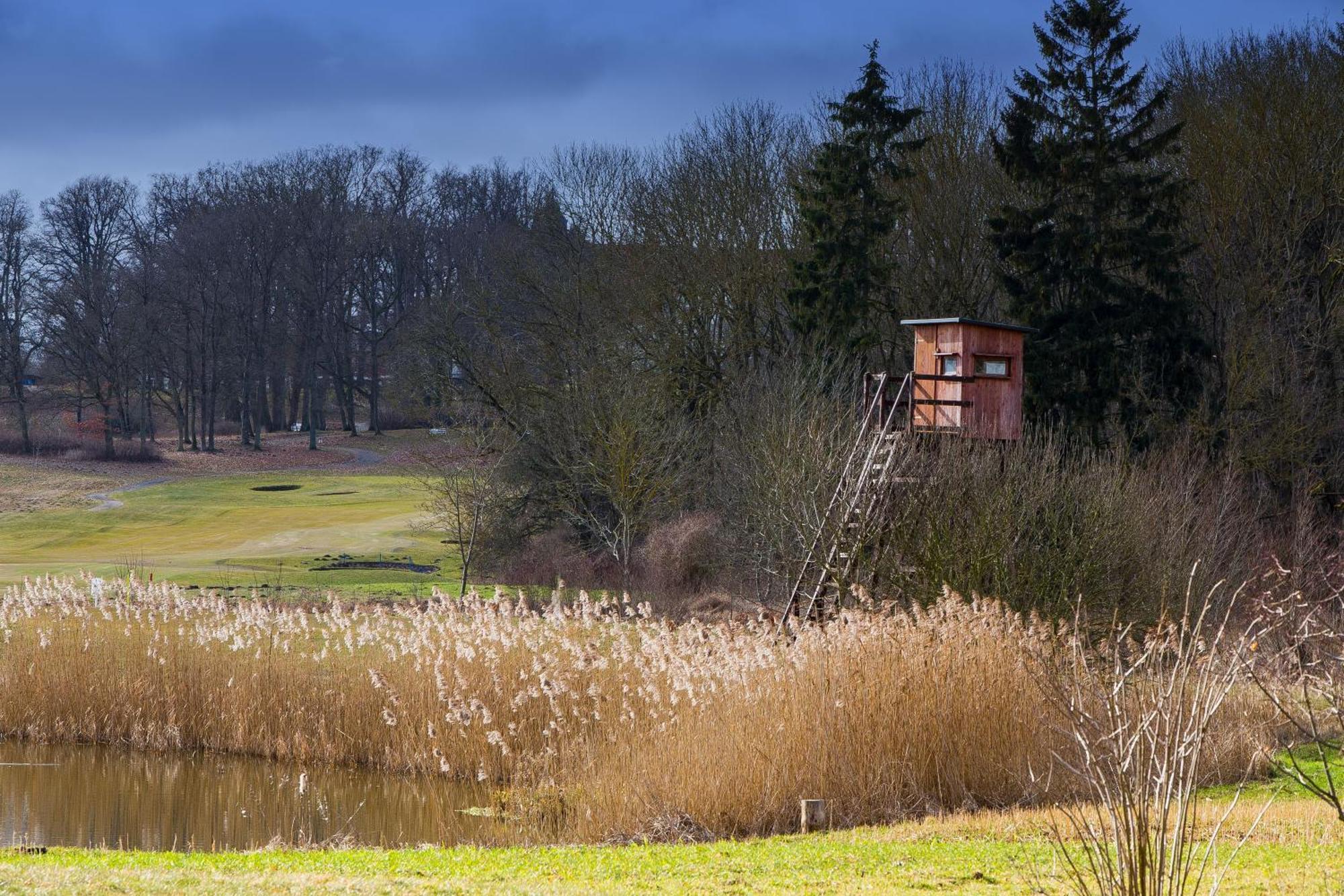 Tiny House Fleesensee Mit Eigenem Garten Und Nur Wenige Meter Vom Seeufer Göhren-Lebbin Eksteriør bilde